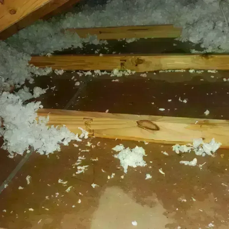 Attic Water Damage in Bassett, VA